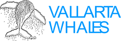 Vallarta Whales Logo